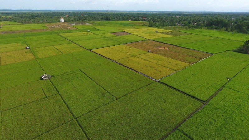 Gallery 84c175740893cb23032176ed911dcb3b.jpg